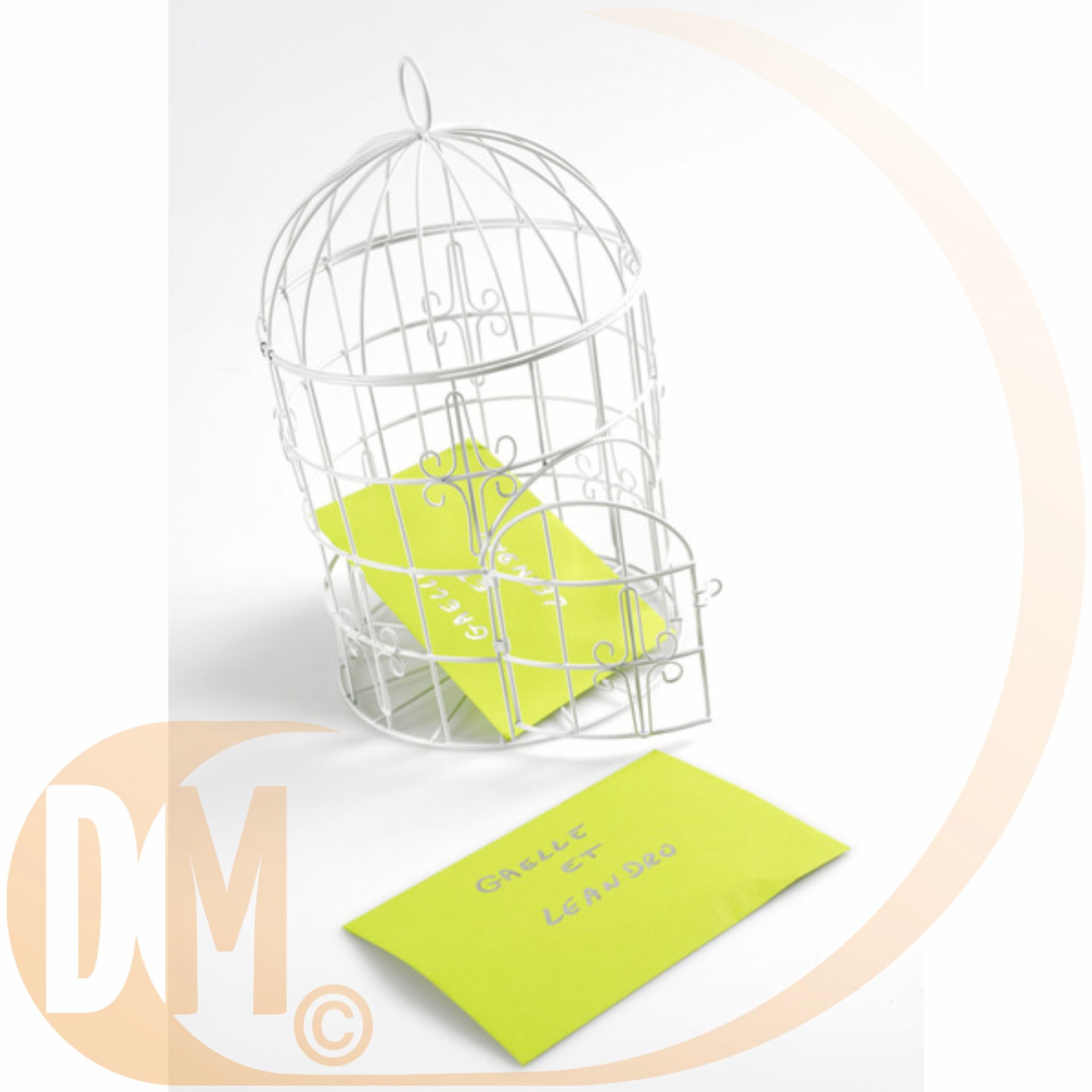 Tirelire cage