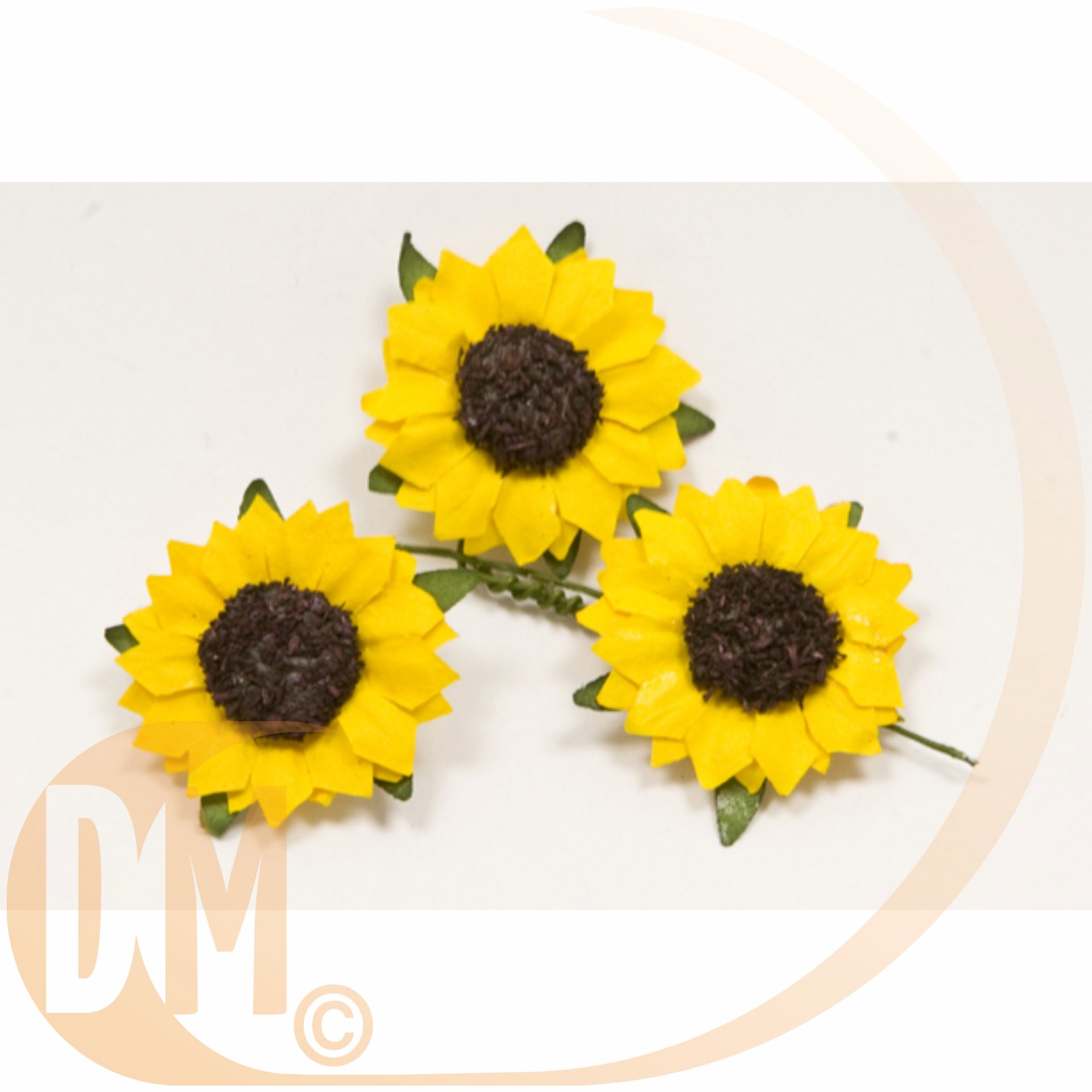 Fleurs de champs (x12)