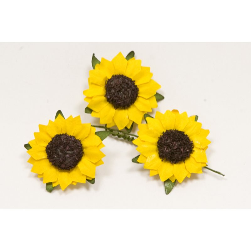 Fleurs de champs (x12)