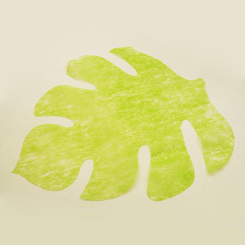 Feuille intiss�