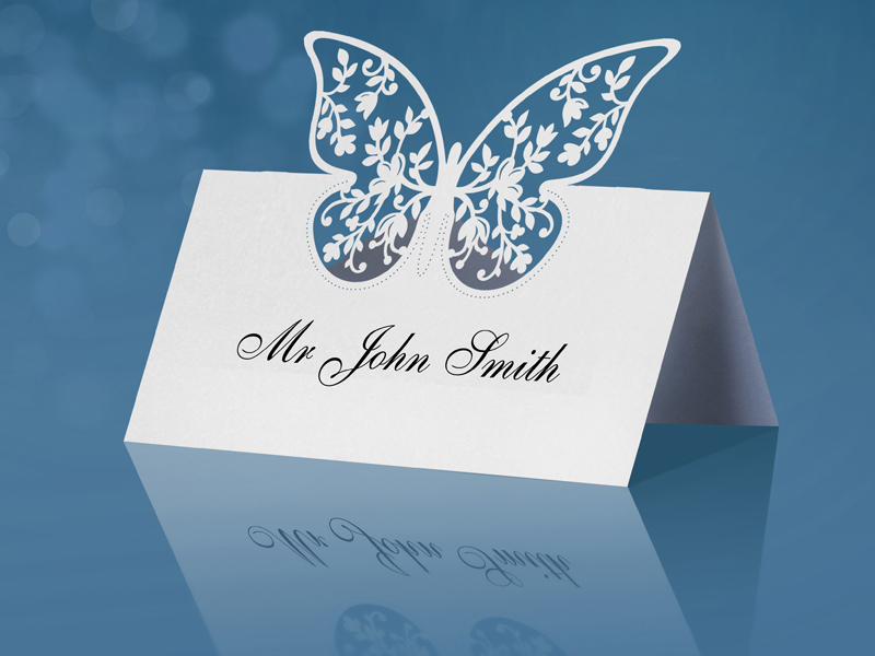 Marque place Papillon par 10