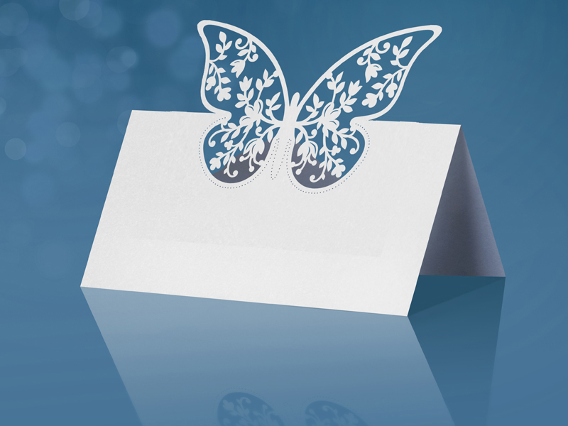 Marque place Papillon par 10