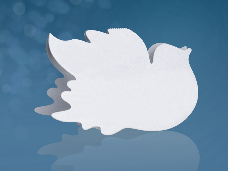 Marque place Oiseau par 10