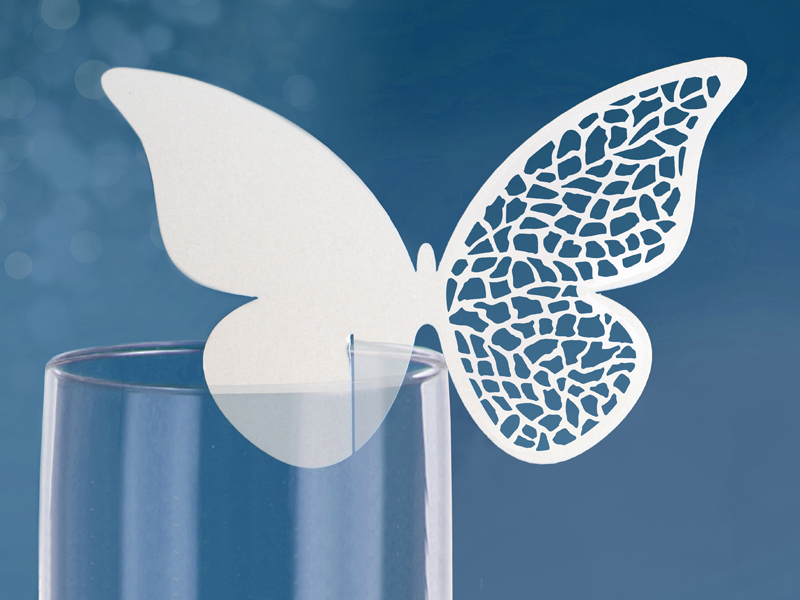 Marque place verre Papillon ajour� par 10