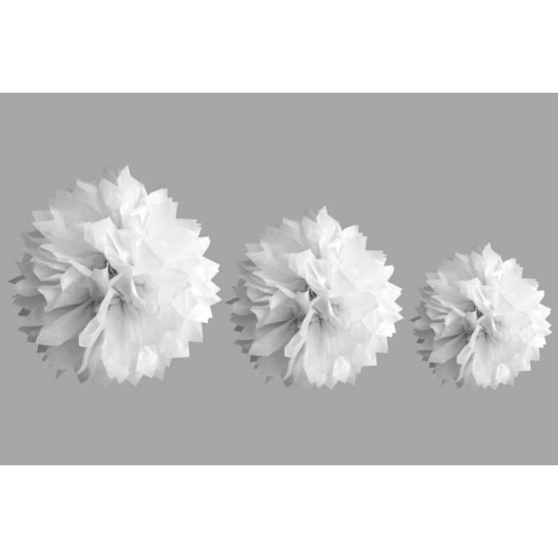 Pompons en papier de soie