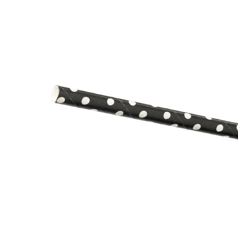 Paille Pois Blancs (x24)