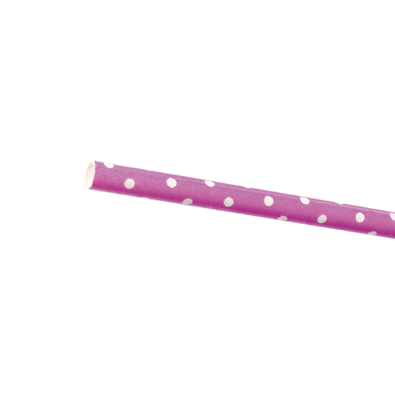 Paille Pois Blancs (x24)