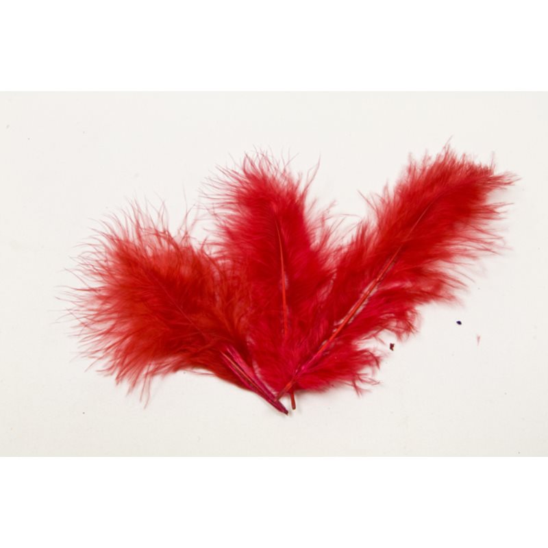 Plume de couleur