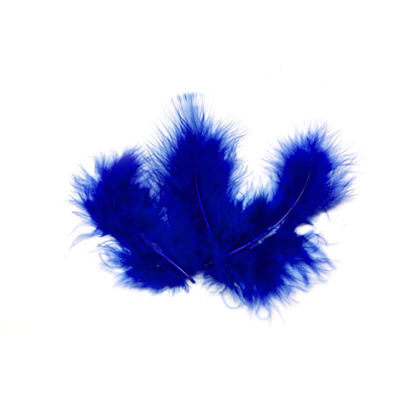 Plume de couleur