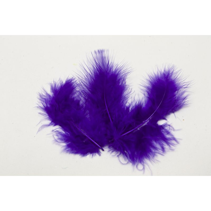 Plume de couleur