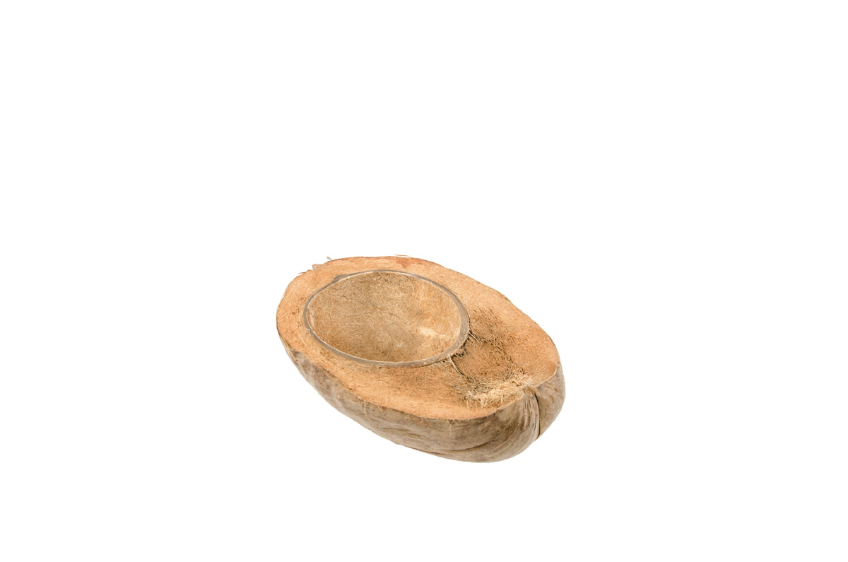 Noix de coco