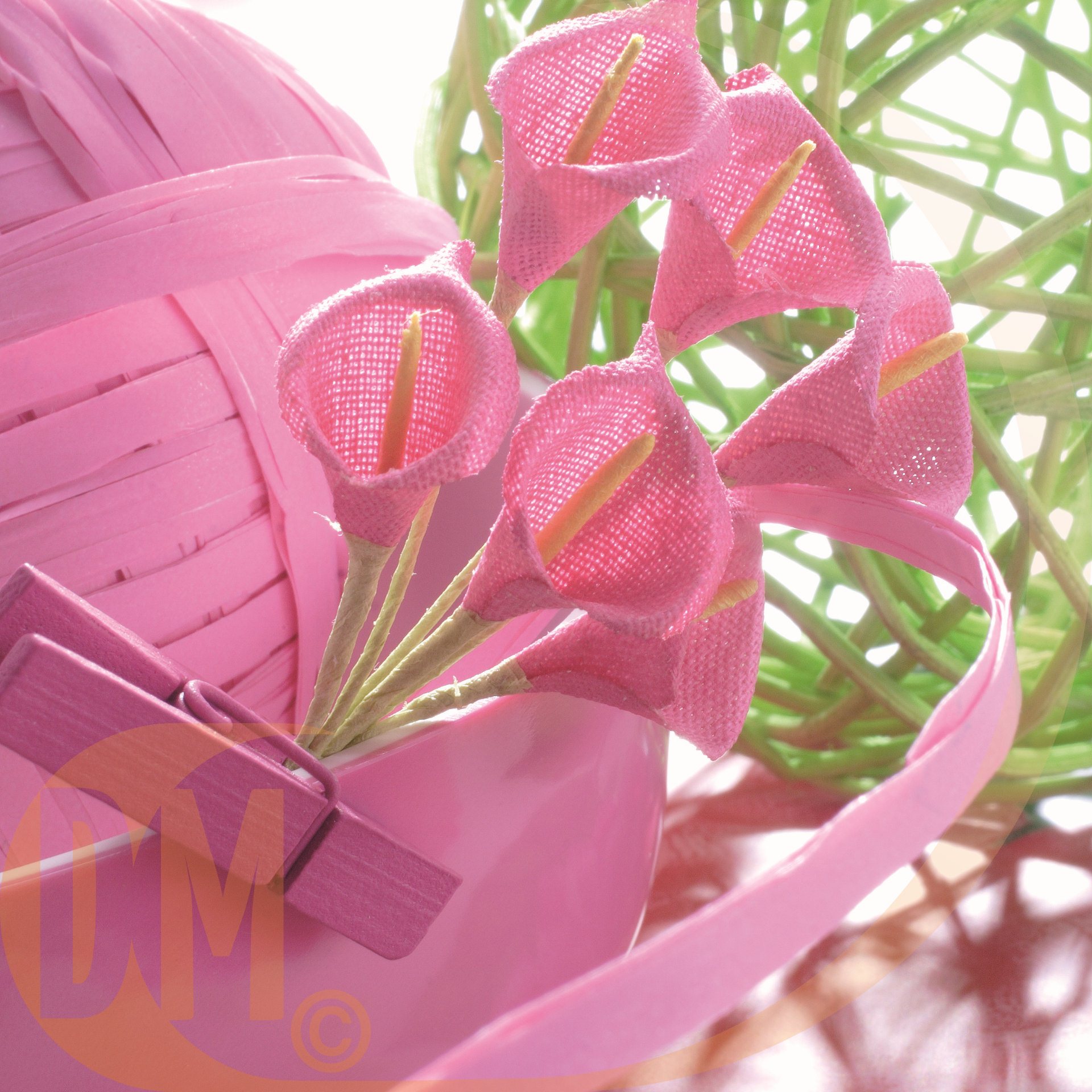 Sachet de 24 arums