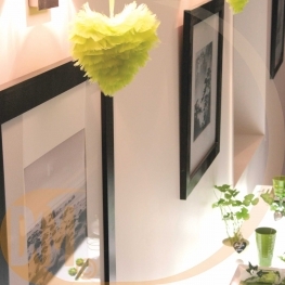 Coeur en plumes