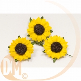 Fleurs de champs (x12)