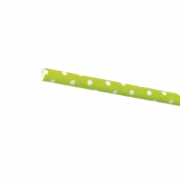 Paille Pois Blancs (x24)