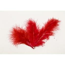 Plume de couleur