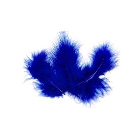 Plume de couleur