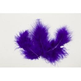 Plume de couleur