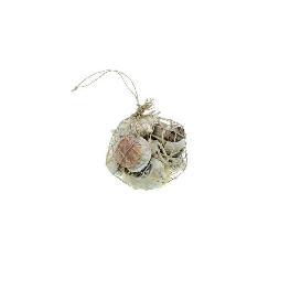 Filet de Coquillages des �les