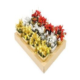 Composition de No�l fleur et cadeau