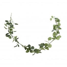 Guirlande Eucalyptus